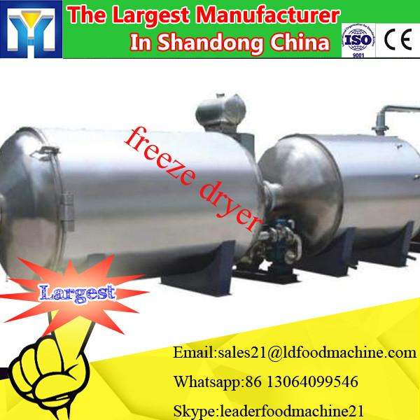 100m2 lyophilizer machine equipment for fruits #2 image