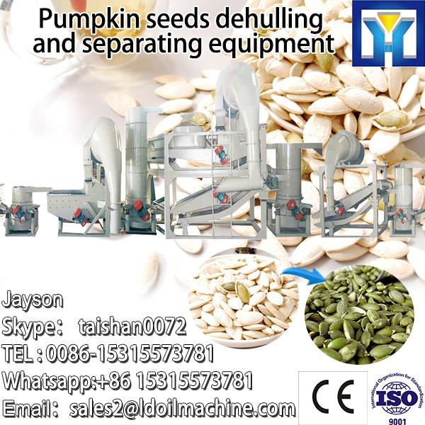 2013 hot sale Pumpkin seed processing equipment, processing machine #1 image