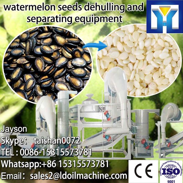 1000-1200kg/h Sunflower Seed Hulling machine #1 image