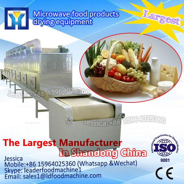 100-500KG big capacity Fruit and Vegetable Commercial Food Dryer #1 image