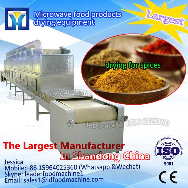 Best selling hot air black pepper pimiento carrot cauliflower drying machine vegetable drying machine dryer #1 image