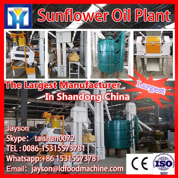 20-2000T Full Set Grape Seeds Oil Expeller Machine #1 image