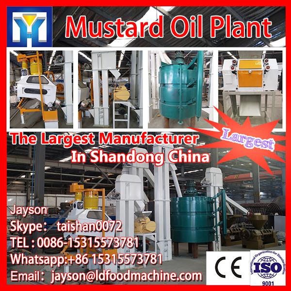 automatic mustard oil machine #1 image