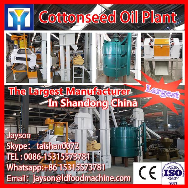 10~2000TPD Peanut oil extracting machinery #1 image