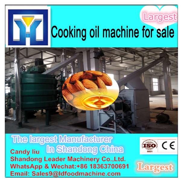 LD Good Performance Flax Seed Cold Oil Press Machine #3 image