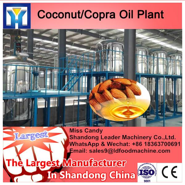 Dry Type Sinking fish feed processing line with competitive price #2 image