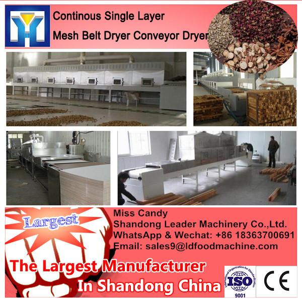 DW Model Continuous Mesh Belt Industrial Food Dryer #2 image