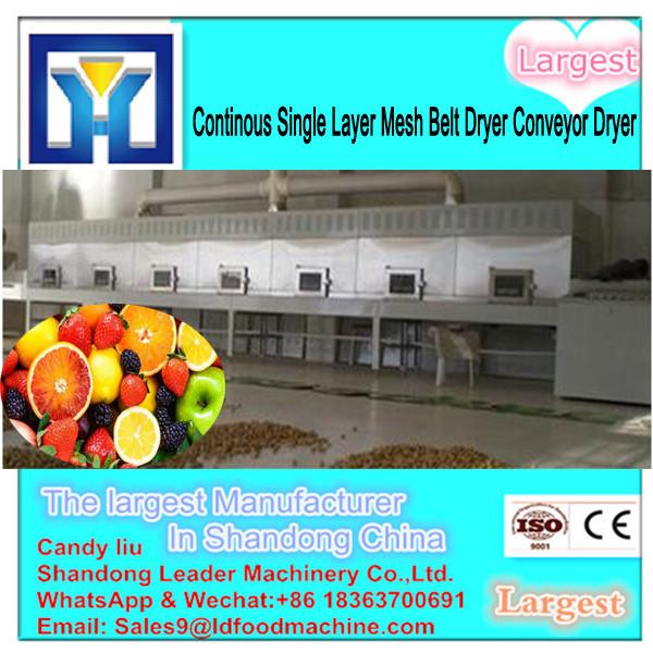 China High Quality Malt Extract Spray Dryer, Spray Drying Machine/Equipment #2 image