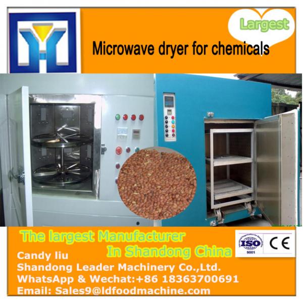 Popular at home and abroad vegetable processing equipment #2 image