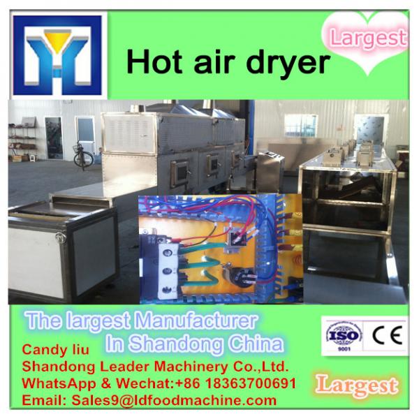 Continuous process belt type mushroom dryer machine #1 image