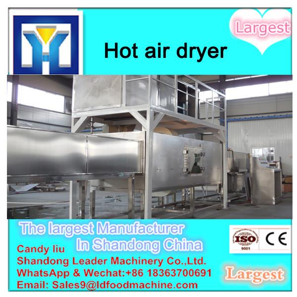 Continuous process belt type mushroom dryer machine #3 image