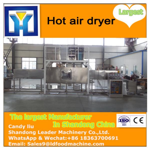 Hot air fruits tray dryer #2 image