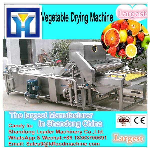 200~2500kg per batch drying chamber type industrial fruit dryers #2 image