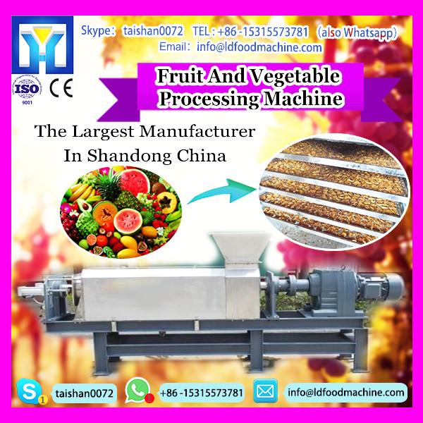 Apricot Core Pitting machinery for Sale |machinery for Apricot/Peach/Olive/Plum Core Remover #1 image