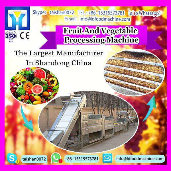 Dried/Preserved Fruit/Kiwi/Pulp/Apple/Date Cube Cutting machinery|Apple Pulp Cuber machinery #1 image