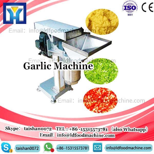 2017 hot sale rice dumpling maker /rice glue balls machinery #1 image