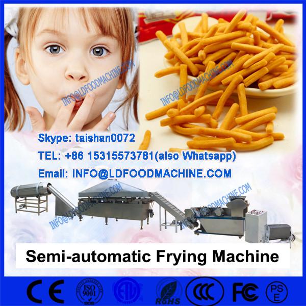 automatic batch fryer #1 image